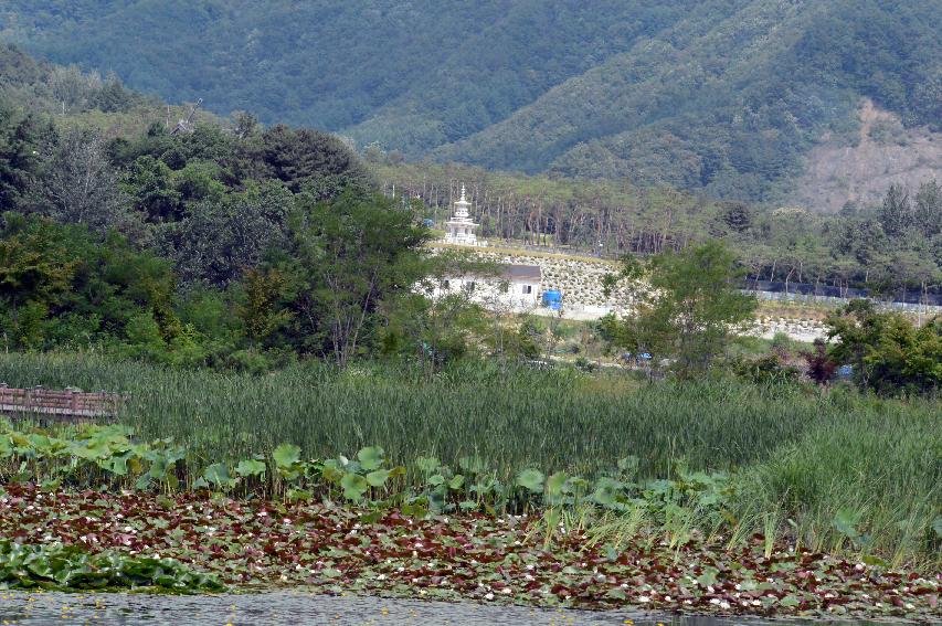 2015 하남면 서오지리 연꽃단지 전경 의 사진