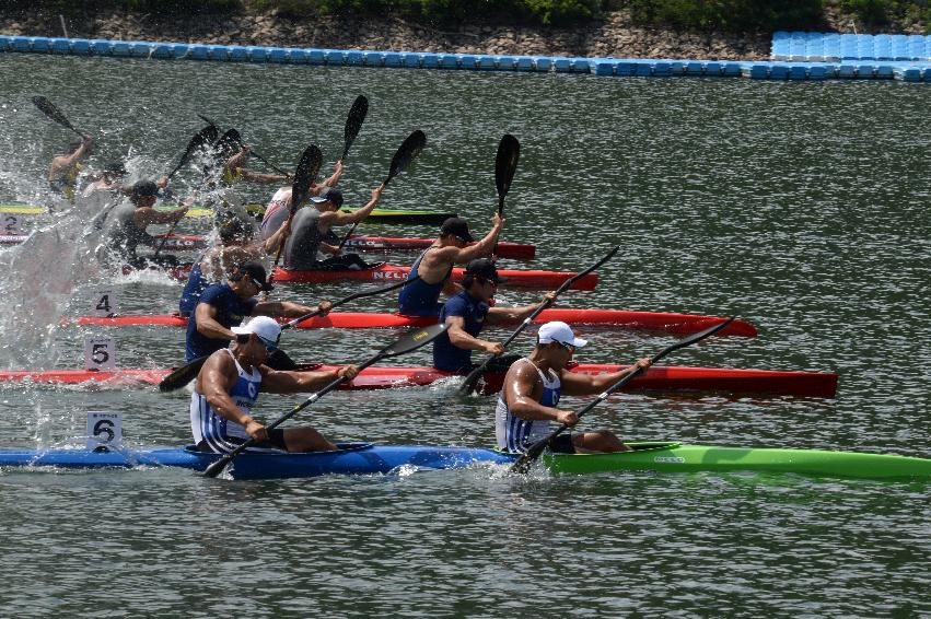2017 제16회 파로호배 전국카누경기대회 의 사진