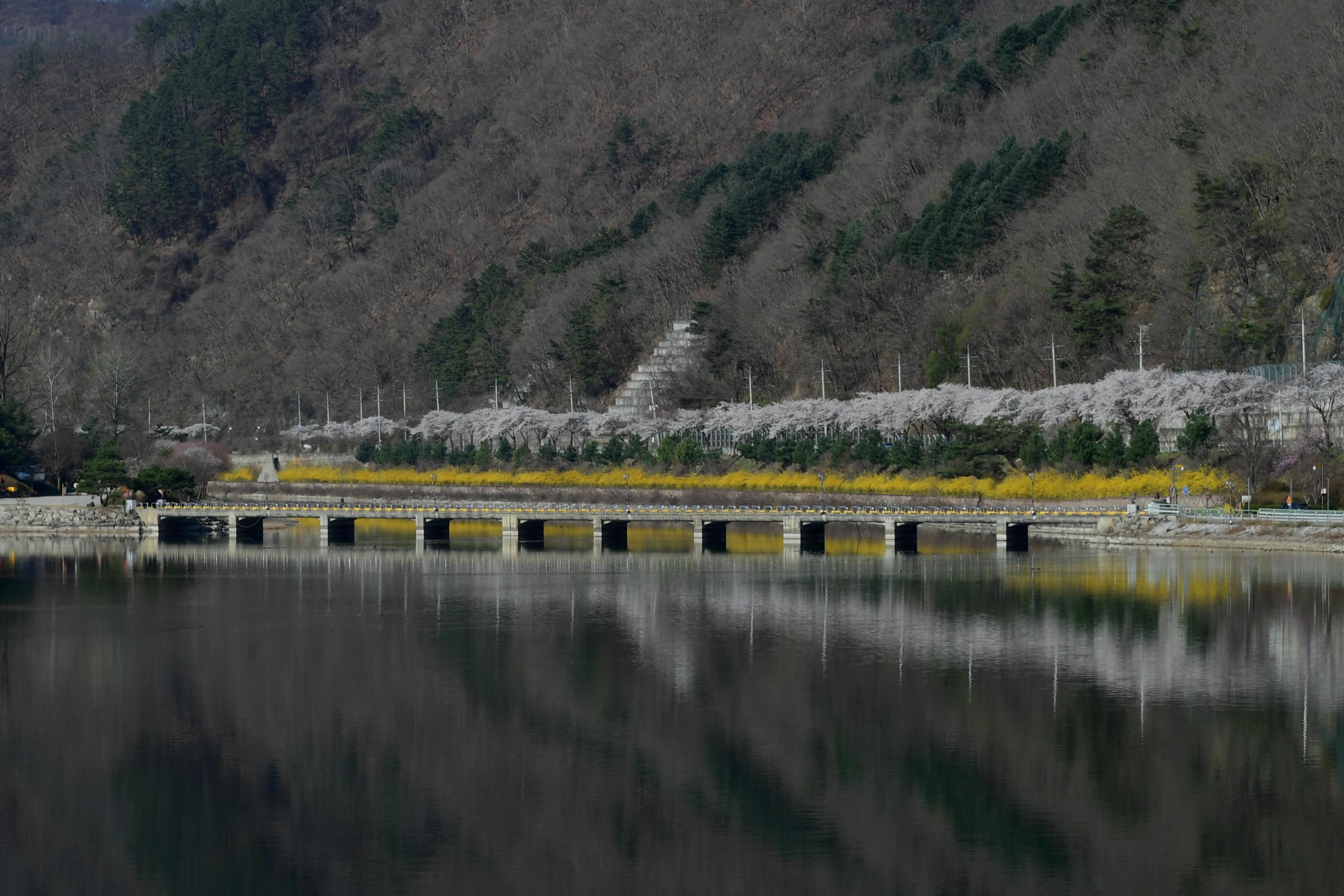 2020 북한강 전경 의 사진