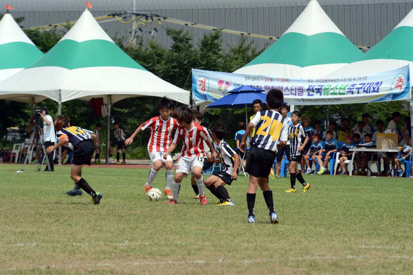 2013 전국유소년축구대회 결승전 및 시상식 의 사진