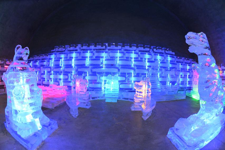 2014 국내최대 실내 얼음조각광장 의 사진