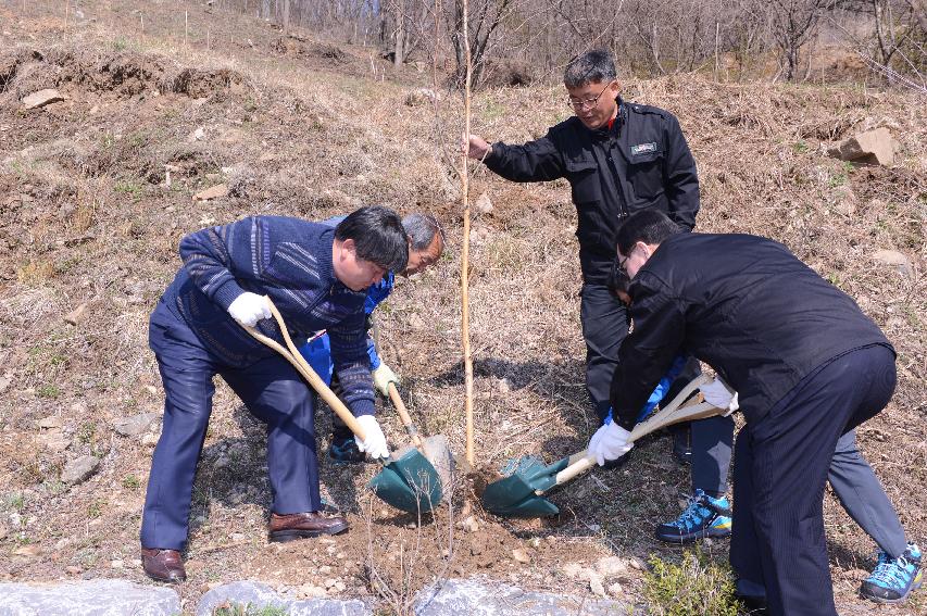 2015 식목일 나무심기 행사 사진