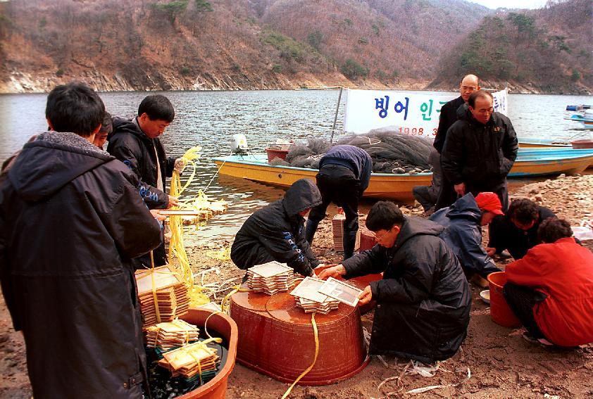 빙어인공채란 사진