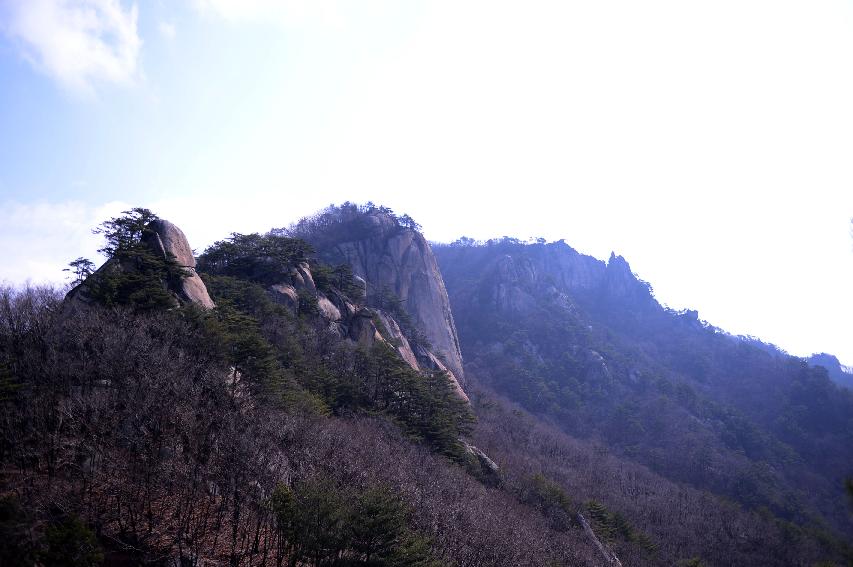 2015 자연(왜가리과,가마우지과,원앙새,용화산) 촬영 의 사진