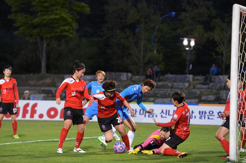 2015 IBK기업은행 WK-리그 의 사진