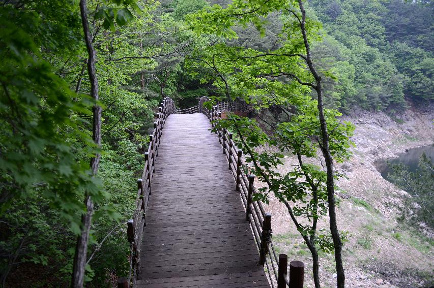 2015 교육관계자 교육관련 협의 및 시설 견학 의 사진