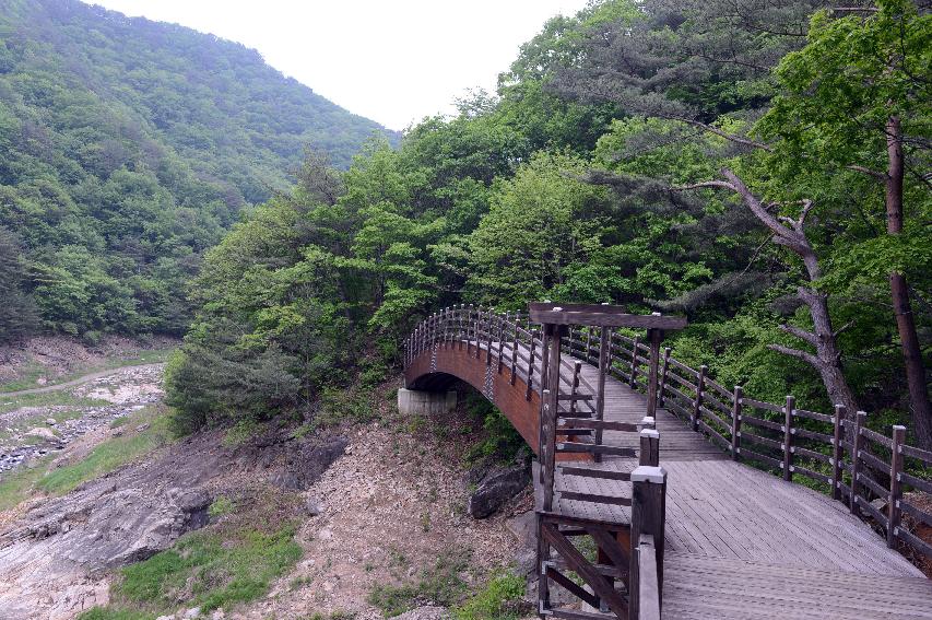 2015 교육관계자 교육관련 협의 및 시설 견학 의 사진