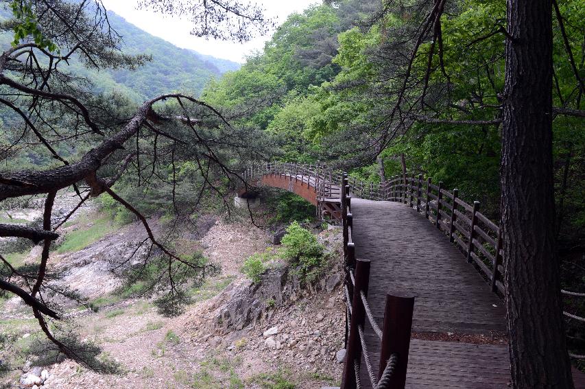 2015 교육관계자 교육관련 협의 및 시설 견학 의 사진