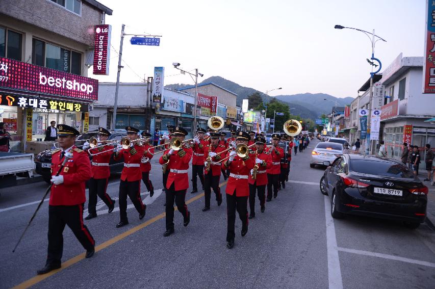 2015 부처님 오신날 제등행렬 의 사진