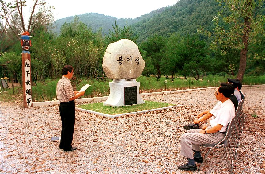 붕어섬비 사진