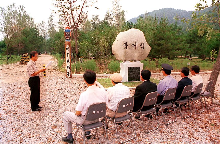 붕어섬비 의 사진