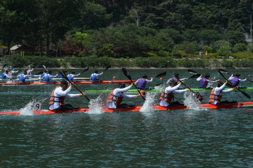 2015 제14회 파로호배 전국카누경기대회 의 사진