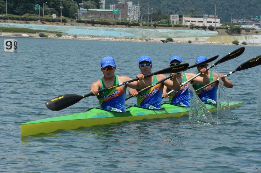 2015 제14회 파로호배 전국카누경기대회 의 사진