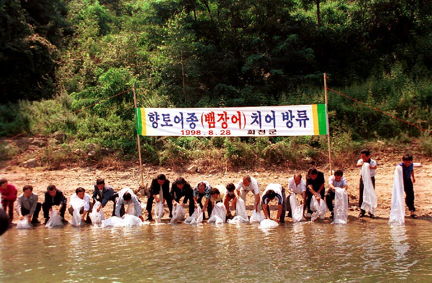 뱀장어 방류 사진