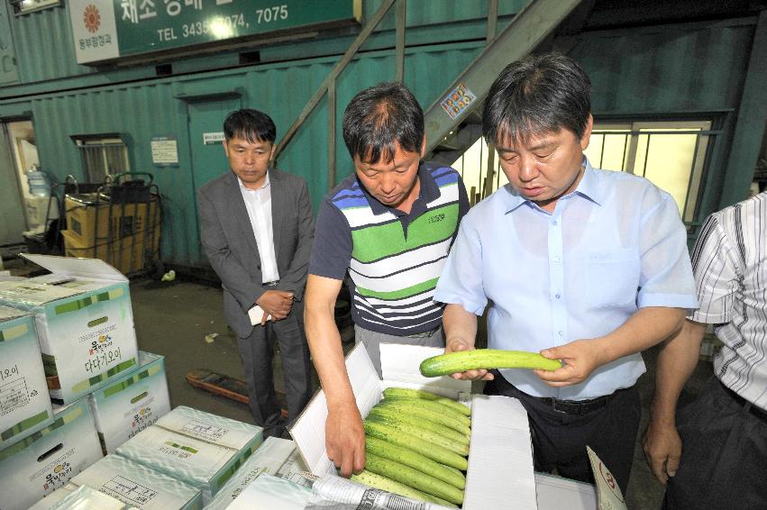 2015 최문순 화천군수 가락동 경매시장 시찰(한국청과) 의 사진