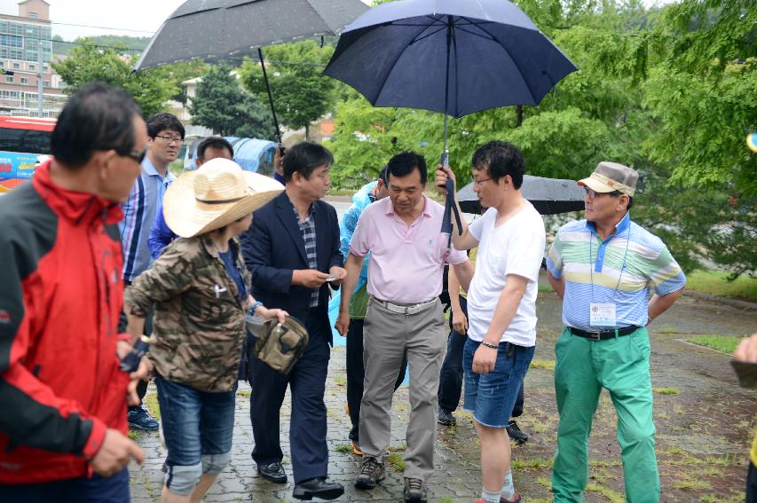 2015 고려대학교 정책 대학원 총교우 산악회 방문 의 사진