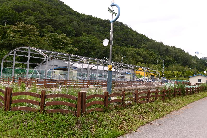 2015 물고기 하늘길 인공어도 전용궤도 전경 의 사진