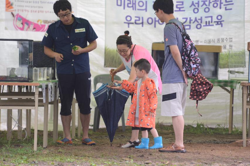 2015 물의나라 화천쪽배축제장 전경 의 사진