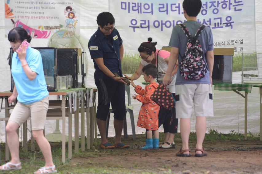 2015 물의나라 화천쪽배축제장 전경 의 사진