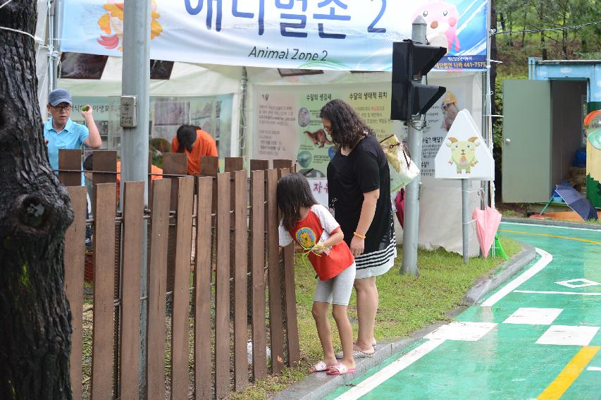 2015 물의나라 화천쪽배축제장 전경 의 사진