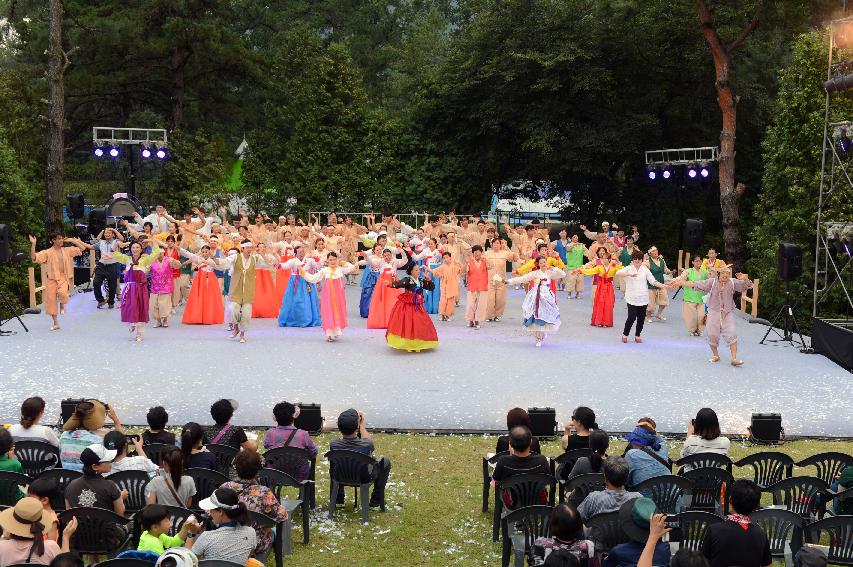 2015 화천쪽배축제 낭천별곡 개막공연 의 사진