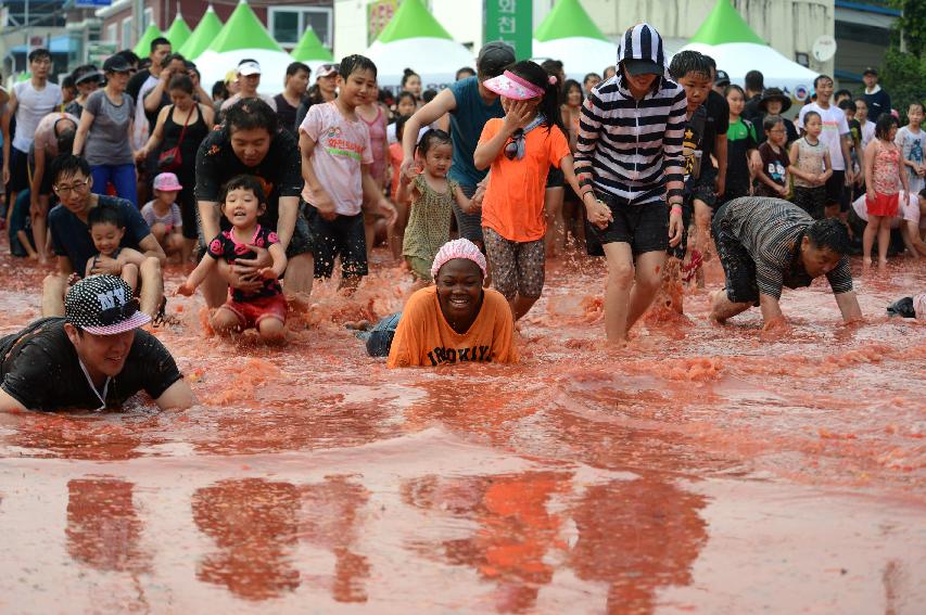 2015 화천 토마토축제장 전경 의 사진