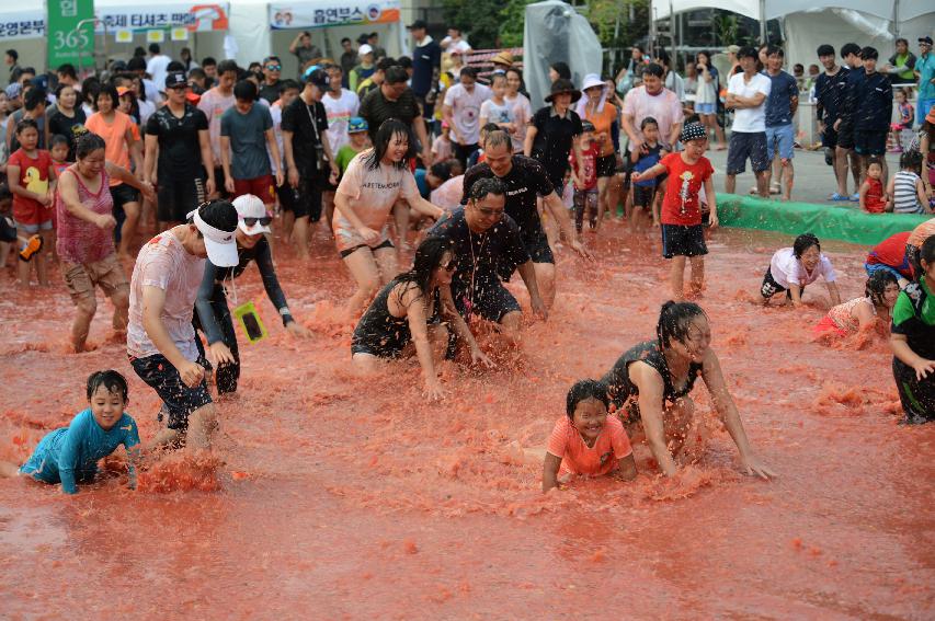 2015 화천 토마토축제장 전경 의 사진