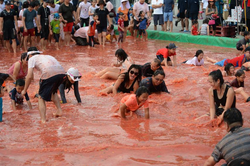 2015 화천 토마토축제장 전경 의 사진