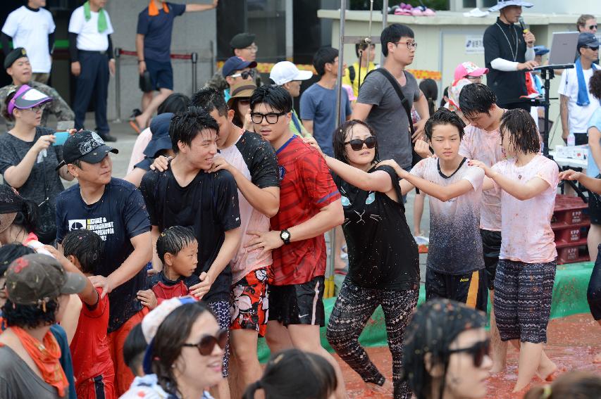 2015 화천 토마토축제장 전경 의 사진