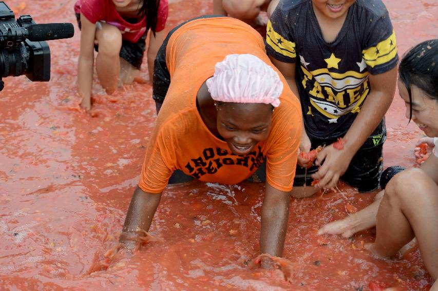 2015 화천 토마토축제장 전경 의 사진