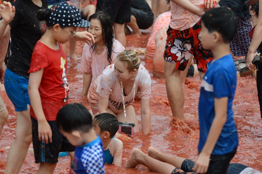 2015 화천 토마토축제장 전경 의 사진