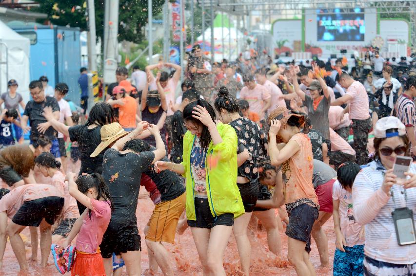 2015 화천 토마토축제장 전경 의 사진