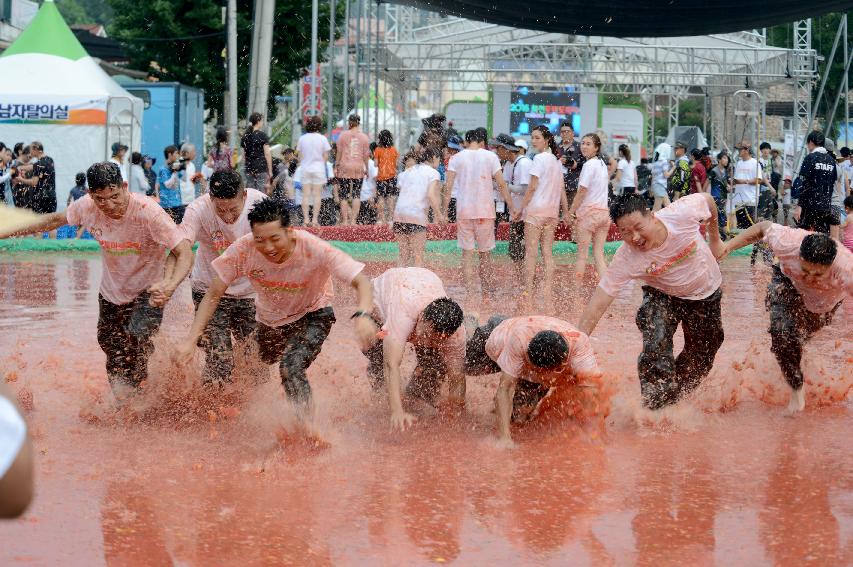 2015 화천 토마토축제장 전경 의 사진