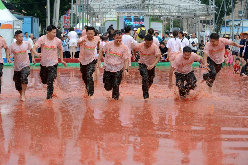 2015 화천 토마토축제장 전경 의 사진