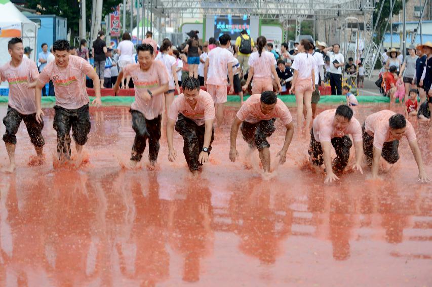 2015 화천 토마토축제장 전경 의 사진