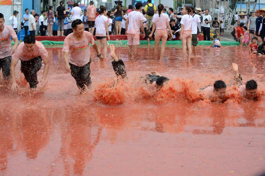 2015 화천 토마토축제장 전경 의 사진