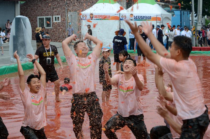 2015 화천 토마토축제장 전경 의 사진