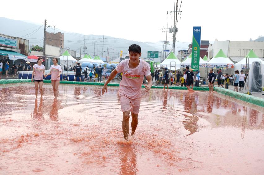 2015 화천 토마토축제장 전경 의 사진