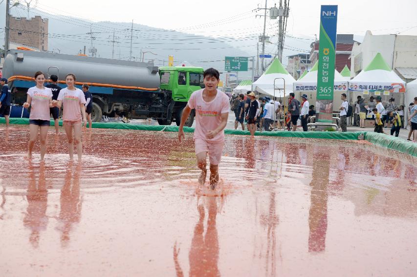 2015 화천 토마토축제장 전경 의 사진