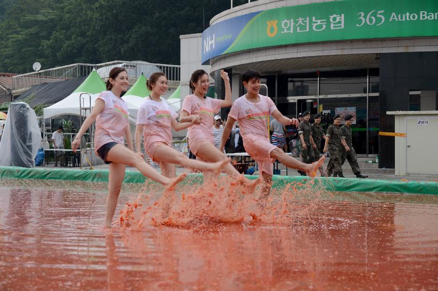 2015 화천 토마토축제장 전경 의 사진