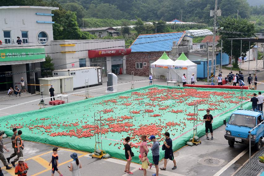 2015 화천 토마토축제장 전경 의 사진