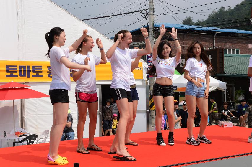 2015 화천 토마토축제장 전경 의 사진