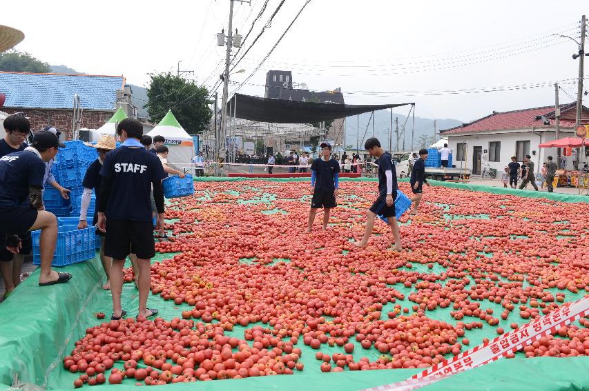 2015 화천 토마토축제장 전경 의 사진