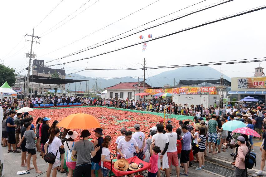 2015 화천 토마토축제장 전경 의 사진