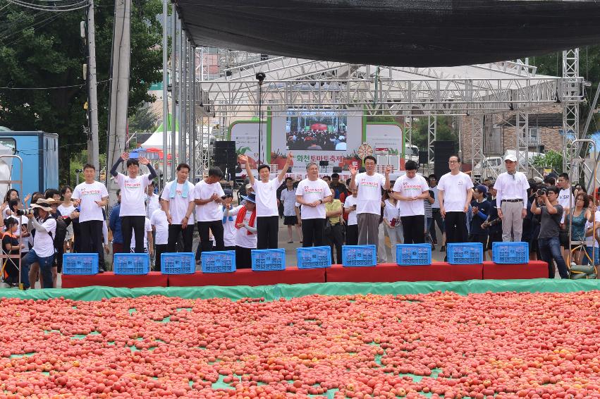 2015 화천 토마토축제장 전경 의 사진