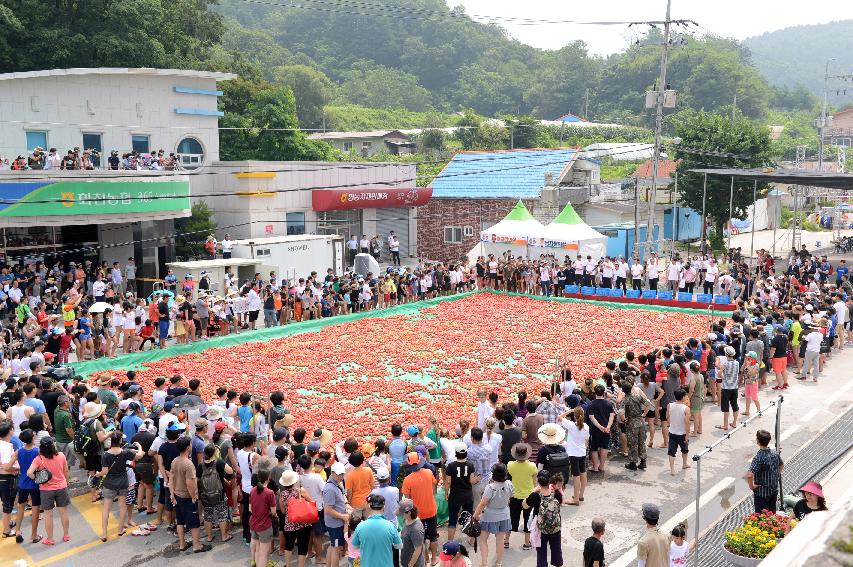 2015 화천 토마토축제장 전경 의 사진