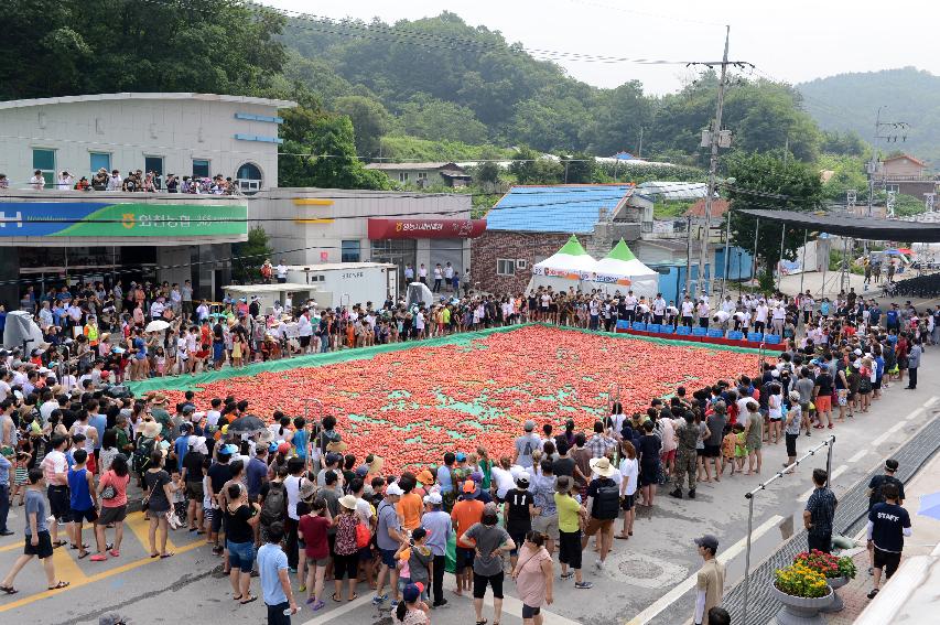 2015 화천 토마토축제장 전경 의 사진