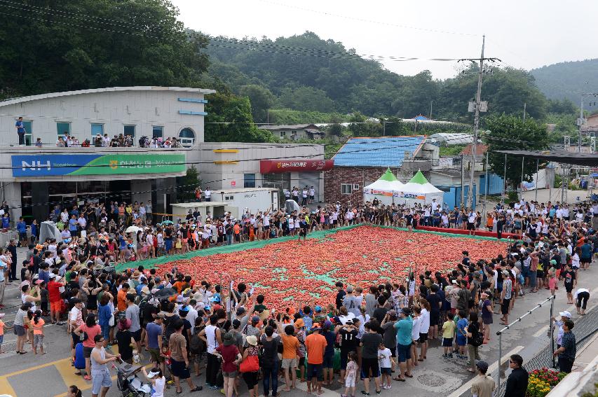 2015 화천 토마토축제장 전경 의 사진