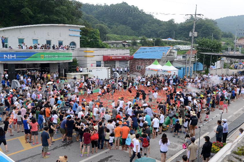 2015 화천 토마토축제장 전경 의 사진