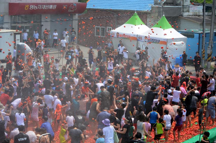 2015 화천 토마토축제장 전경 의 사진